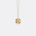 Sunburst Clover