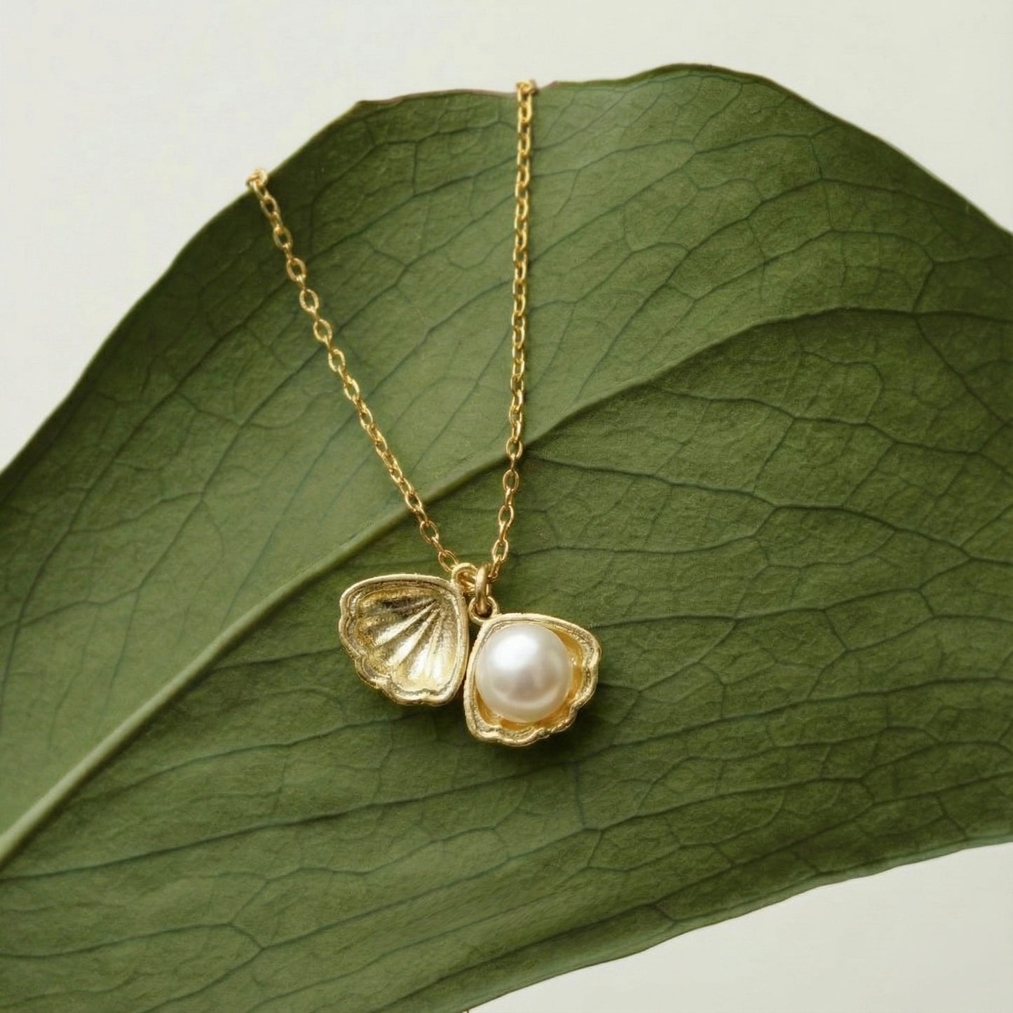 İstiridye İnci Kolye - 14K Altın Kaplama