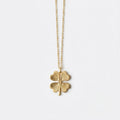 Sunburst Clover