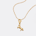 Equestrian Charm